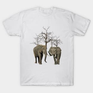 Elephants with trees in Kenya / Africa T-Shirt